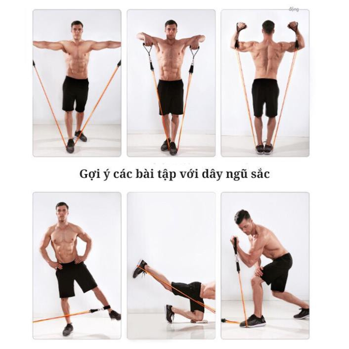 Bộ 5 dây ngũ sắc tập full body tại nhà - dụng cụ tập gym, dây tập thế thao tại nhà TOPBODY