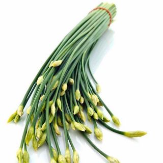 [Hạt Giống] Hẹ Ăn Bông ,Rạng Đông 523 (1 gói/1g)