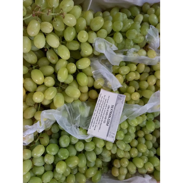 nho xanh tươi, ngọt không hat 1kg