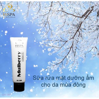 Sữa rửa mặt Hàn Quốc HiSPA MULBERRY CLEASING GEL