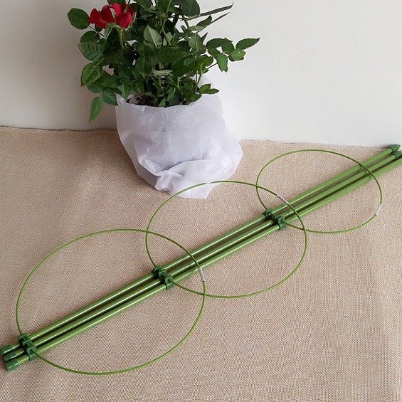 [HOT] Giá đỡ hoa hồng, hoa leo đa năng kích thước cao 75cm, đường kính vòng tròn 25cm c/lượng, hg C/ty.