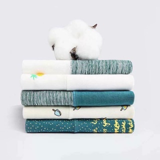 Set 4 quần chíp cạp cao