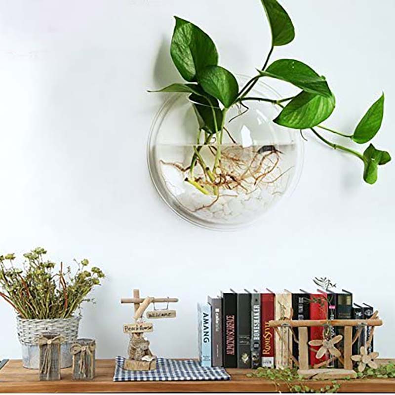 Bể cá treo tường / trồng cây bằng acrylic trang trí nhà đẹp mắt