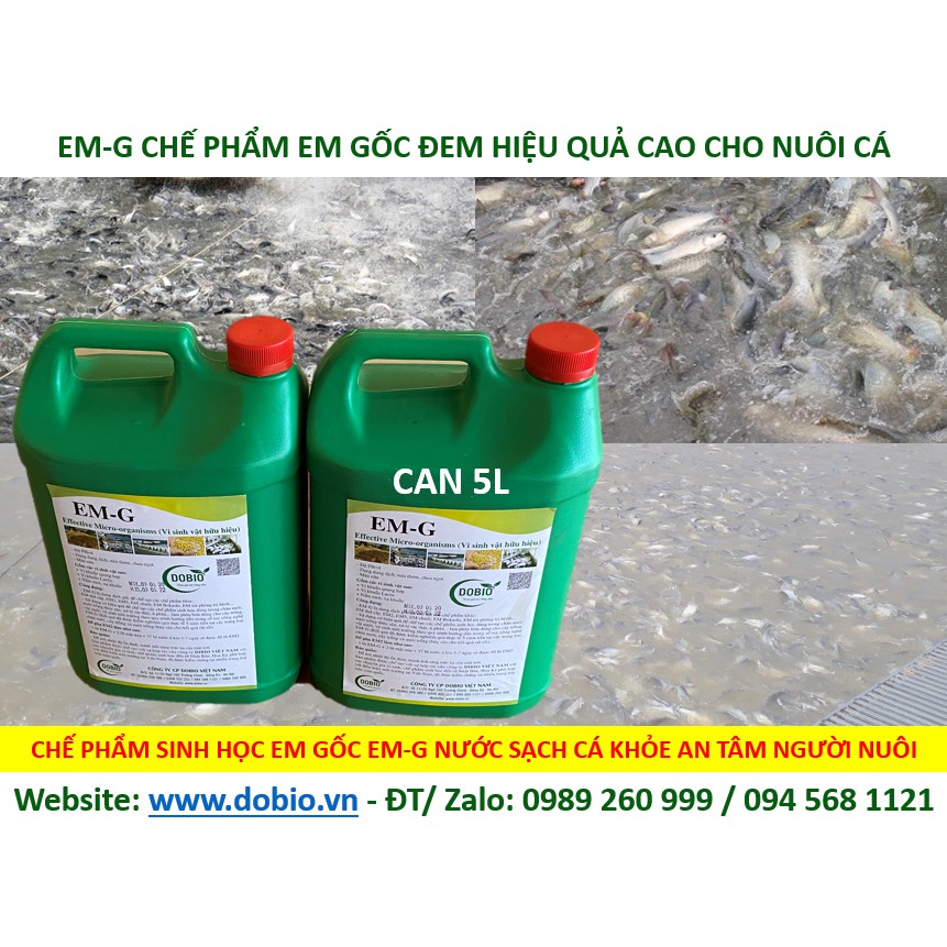 EM Gốc G Can 5 lít, Chế Phẩm Vi Sinh EM Gốc, EM1, Địa Chỉ Cung Cấp Mua Bán Chế Phẩm Vi Sinh EM Gốc