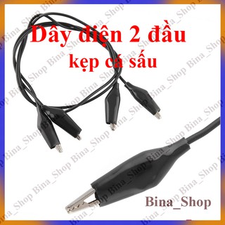 Dây Kẹp Cá Sấu 2 Đầu 45CM
