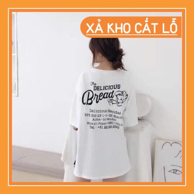 [FREE SHIP xa kho] Áo thun tay lỡ BÁNH MÌ IN LƯNG ( tuyển sỉ đại lý ) hàng như ảnh