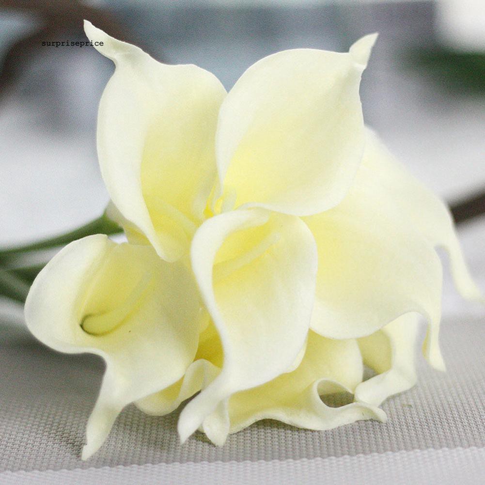 Hoa Calla Lily giả trang trí
