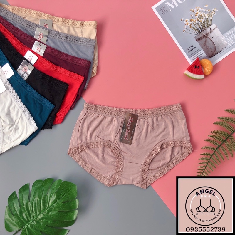 Quần lót nữ cotton, chip viền ren dành cho vòng 3 nhỏ Thái Lan Sister Hood 551 - angel.bra