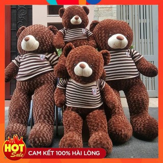 [Sale] Gấu Bông Teddy 1m Gấu Bông To, Gối Ôm Hình Thú Teddy Nâu Bự Khổng Lồ Siêu Đáng Yêu
