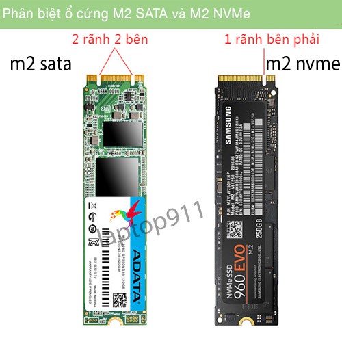 Thiết bị chuyển đổi SSD M2 sang USB có các loại m2 sata và m2 nvme chọn lựa