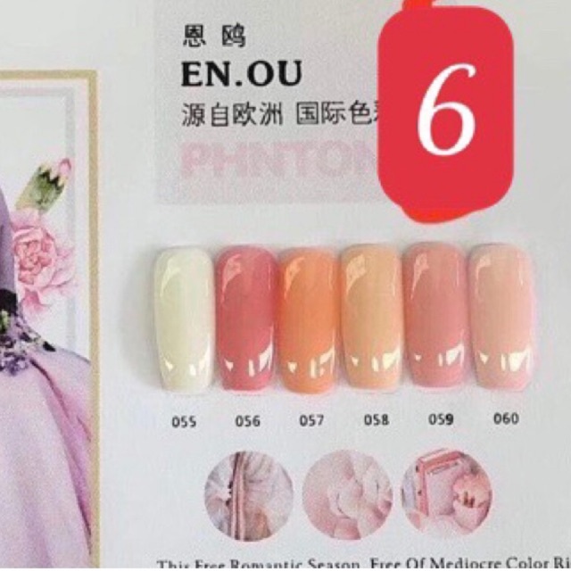 Sét sơn enou chai lẻ (số thẻ màu tương ứng với bảng màu minh hoạ)
