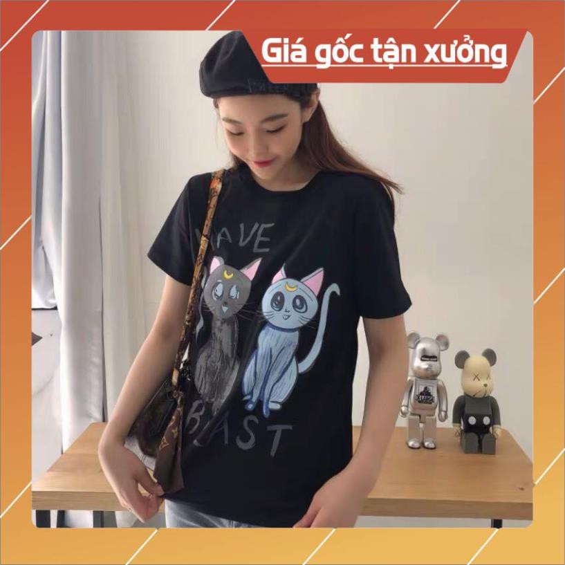 Free Ship - Áo Phông Nữ Hình Mèo 3D , Cộc Tay Cotton Túi Zip 3 Màu Q018