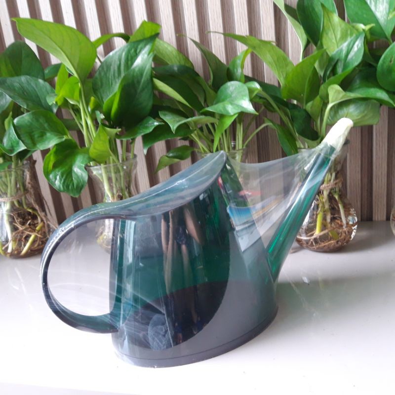 Bình tưới cây 1000ml, bình tưới cây màu xanh/Bình tưới cây mini/Bình tưới cây giá rẻ