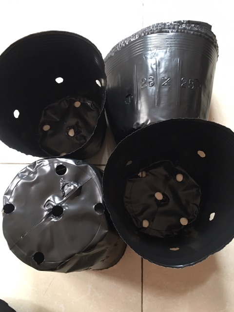 500gr túi bầu ươm cây