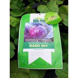 Hạt giống bắp cải tím lai f1 rado 501 gói 0,5g rạng đông