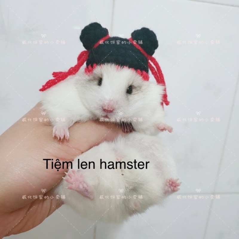 mũ nón cho hamster mẫu puca