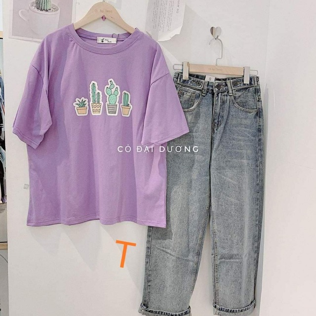 Áo 4 chậu sương rồng mới tici TTV654