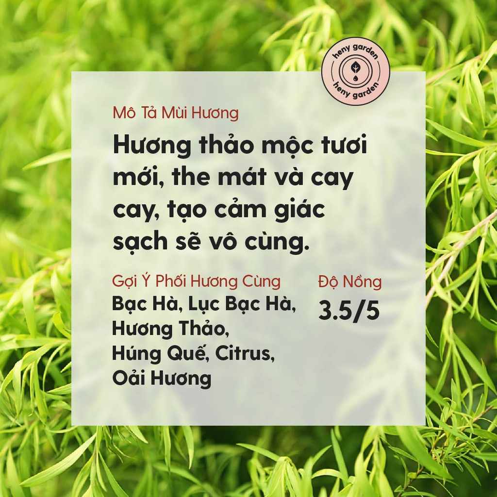 Tinh Dầu Tràm Trà Organic Thiên Nhiên Nguyên Chất Đậm Đặc Xông Thơm Phòng, Làm Nến Thơm HENY GARDEN