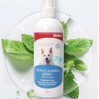 Xịt thơm miệng cho cún yêu { mùi bác hà }