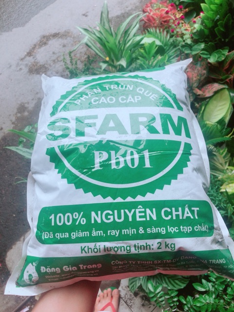 Phân Trùn Quế