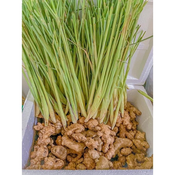 1kg sả tươi giá tại vườn ( có nhận sỉ SLL)