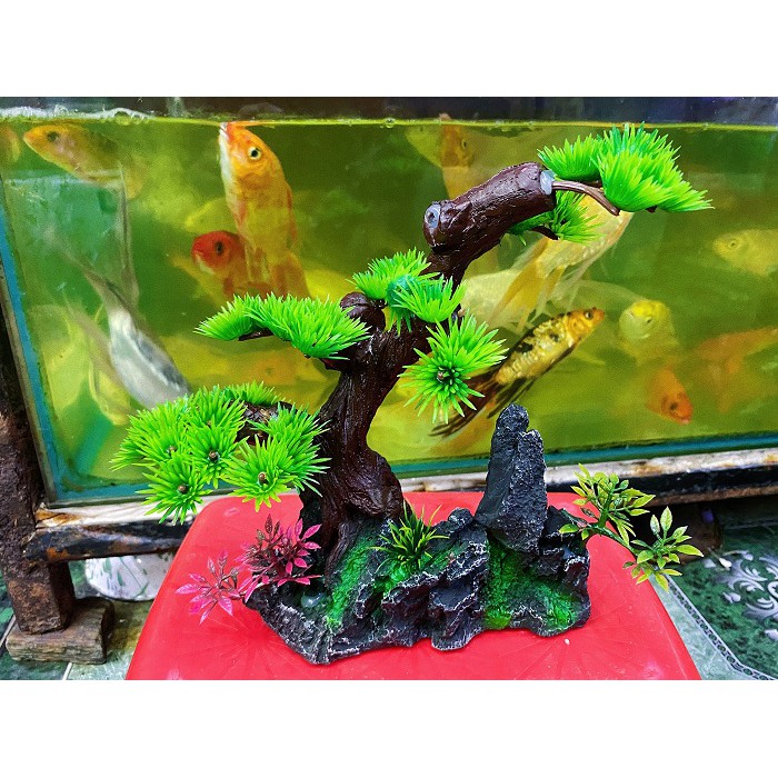 TIỂU CẢNH TRANG TRÍ HỒ CÁ NON BỘ 16X5X21CM