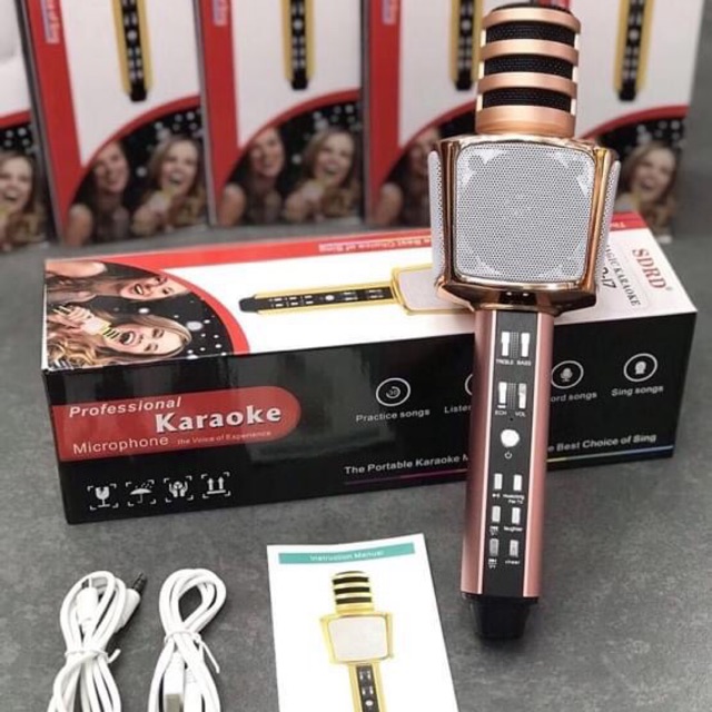 Mic karaoke 3in1 SD 17