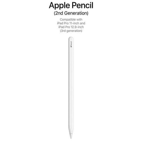 Bút Cảm Ứng Apple Pencil 2 MU8F2ZP/A