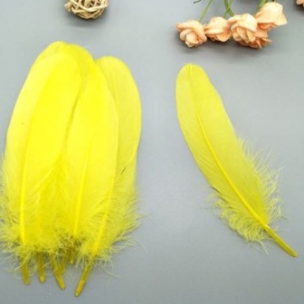 5-10 lông vũ cứng 15-20cm nhiều màu