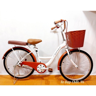 Xe Đạp Mini Việt Nhật