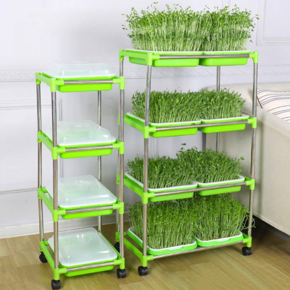 Kệ 4 tầng 8 khay trồng rau mầm thủy canh chuyên dụng