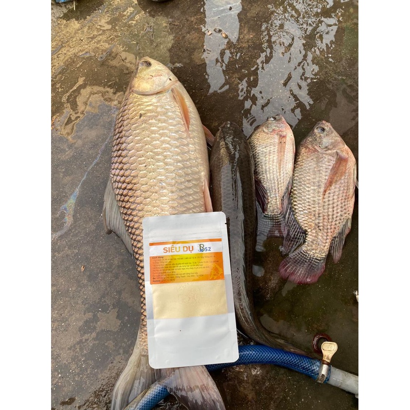 Mồi Câu Siêu Dụ Cá Thích Câu Đài