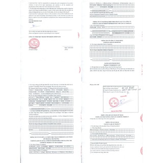 Tinh Chất Hoàng Thiên Sâm
