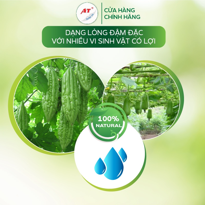 Chế phẩm tiêu diệt sâu sinh học côn trùng, nhện đỏ, bọ trĩ, sâu ăn lá, sâu xanh, ruồi vàng Mebe Laqua đậm đặc 100ml