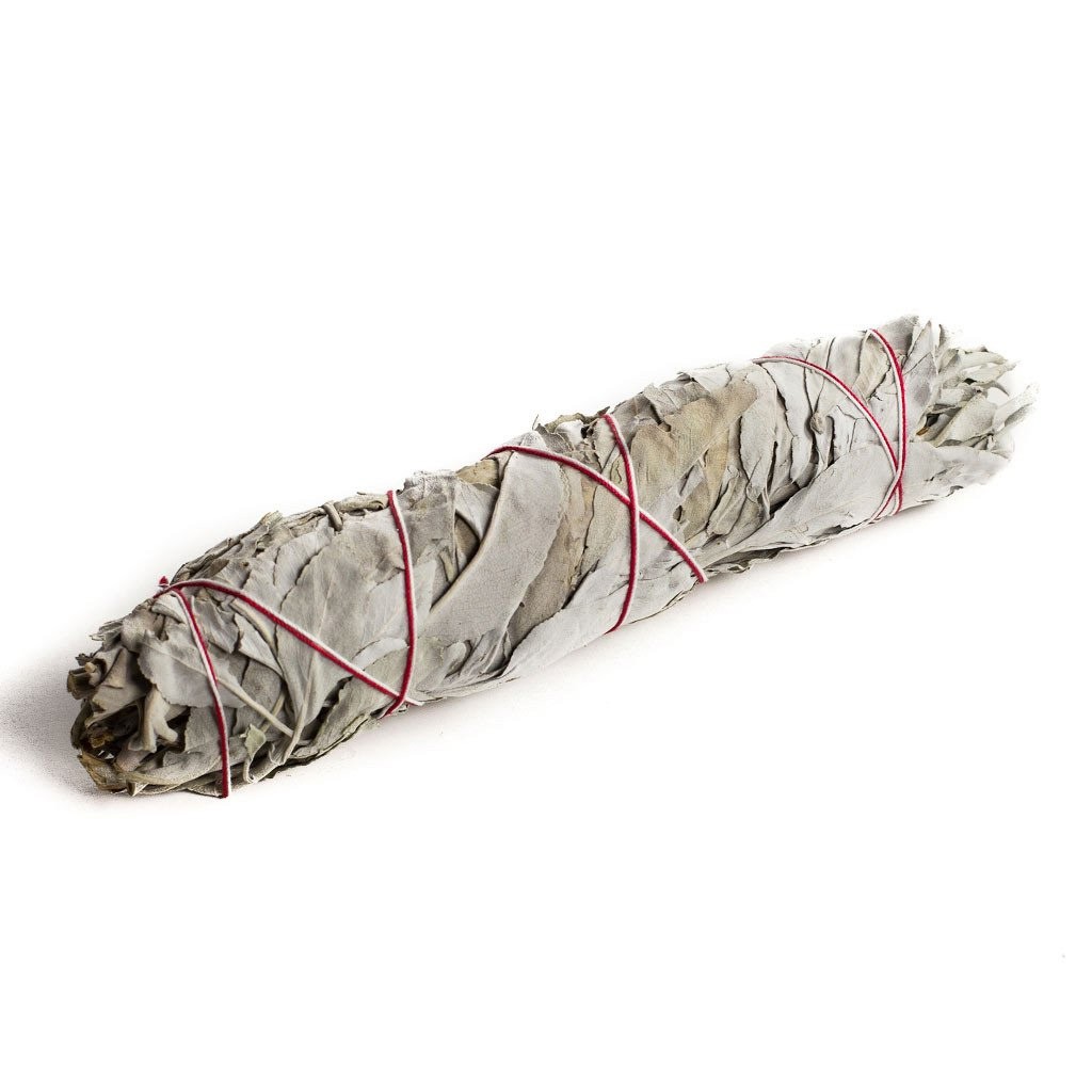 Xô Thơm Trắng - White Sage (Bó 20-22 cm) (Mystic House Tarot Shop) - Sản Phẩm Authentic Chính Hãng 100%