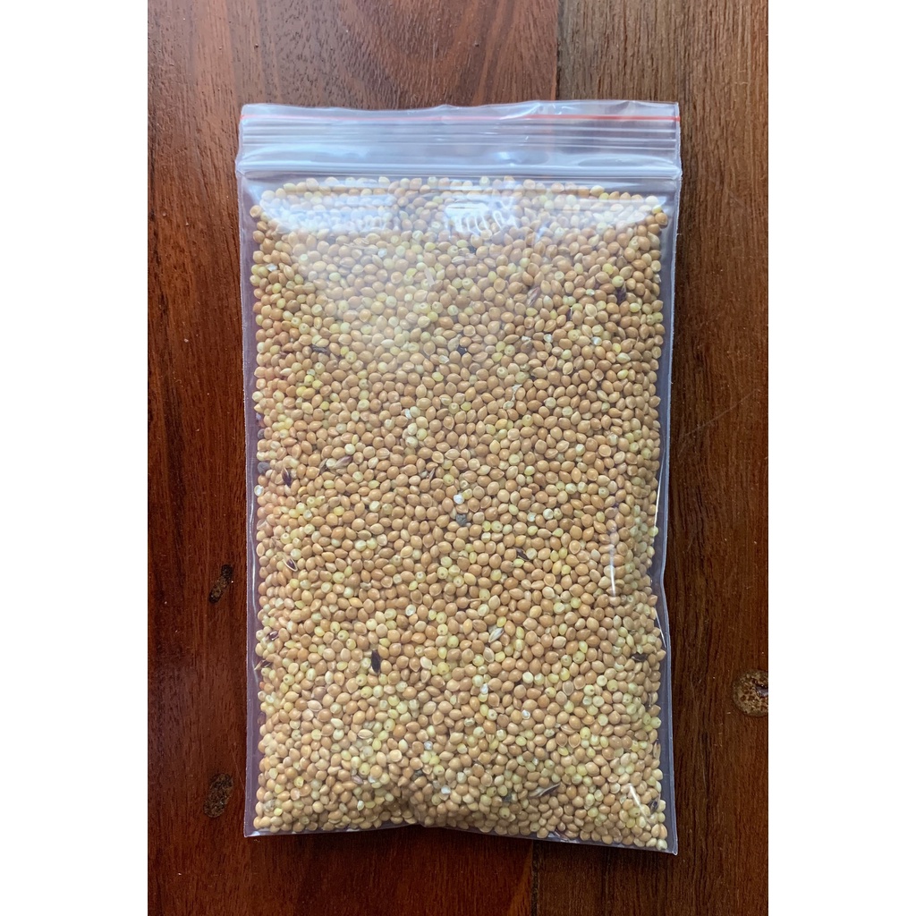 Hạt kê cho Hamster