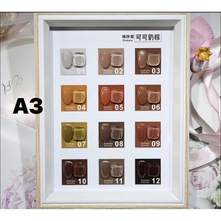 Sơn gel nude sơn gel mầu lẻ bảng A3
