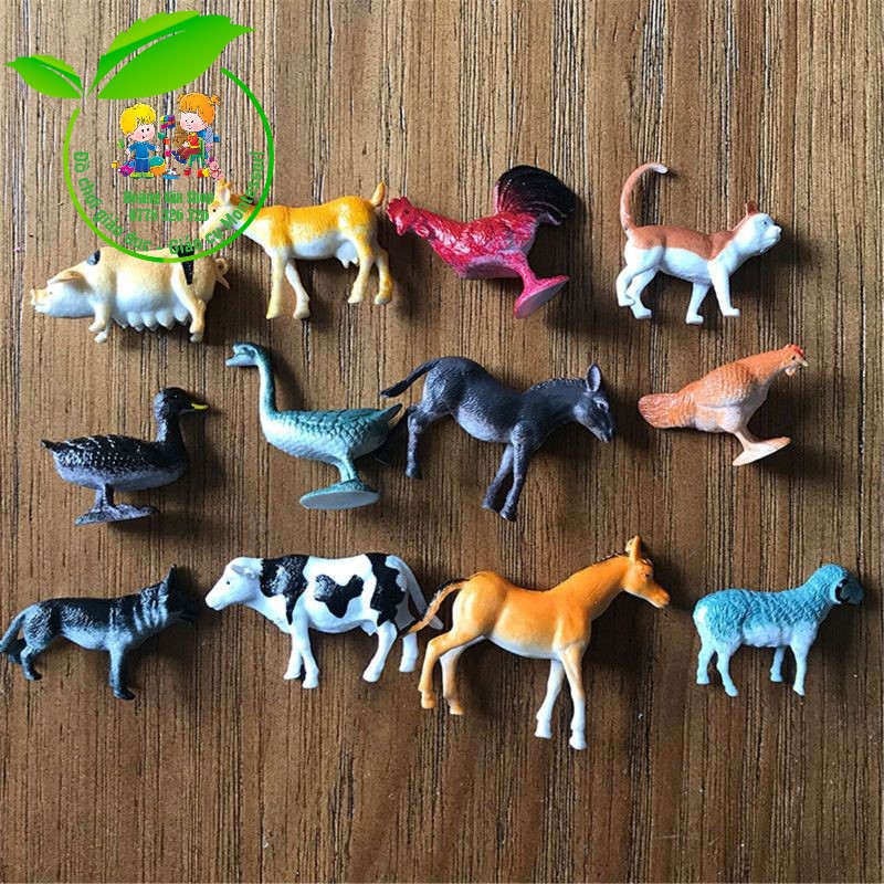 Mô hình 12 động vật nuôi kèm thẻ