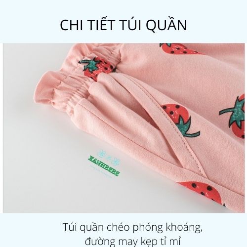 Quần Short Bé Gái Quần Đùi Trẻ Em Cao Cấp Cotton Co Giãn Cho Bé 2-8 Tuổi