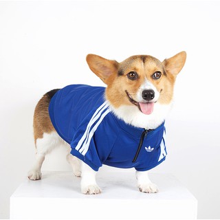 Áo họa tiết logo adidas cỏ ba lá thời trang cho chó mèo