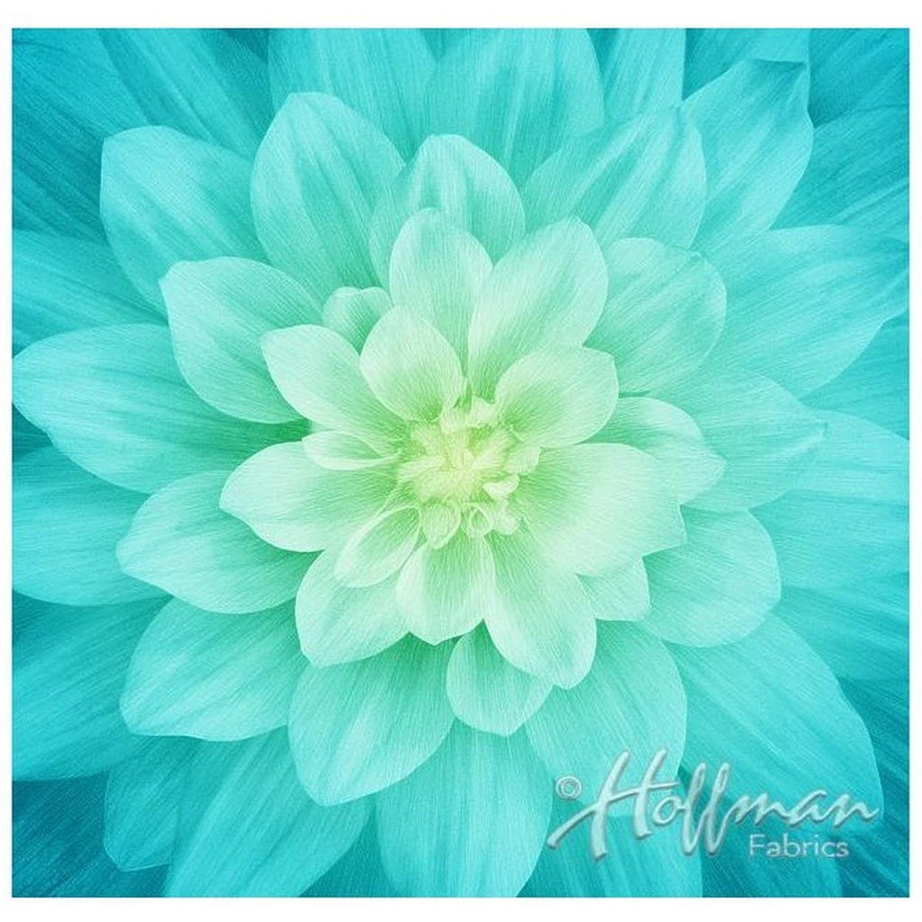 Panel thô Mỹ hoa Big Dream của Hoffman - Xanh nhạt