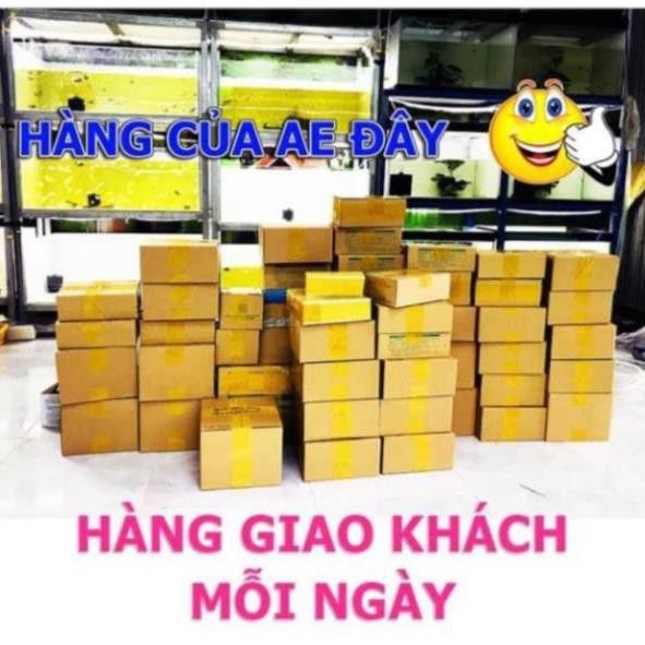 BIO BECO - Vi Sinh Khử Độc Nước &amp; Làm Trong Nước