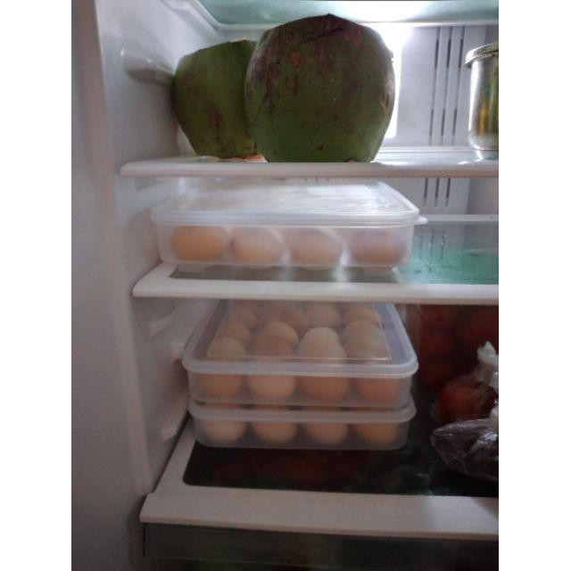Hộp, Khay Đựng Trứng gà, trứng vịt  24 quả  2795 PT001