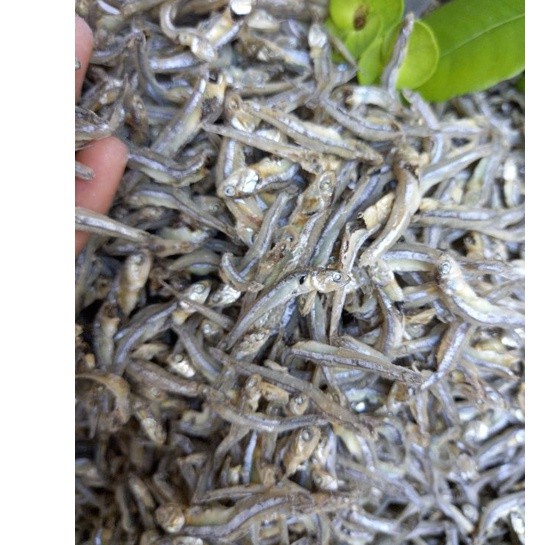 0.5KG CÁ CƠM KHÔ LOẠI 1 BAO NGON