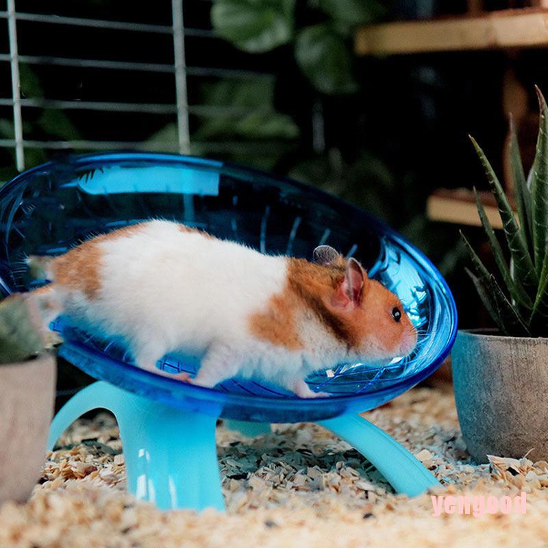 Đĩa Xoay Thể Thao Cho Chuột Hamster / Sóc
