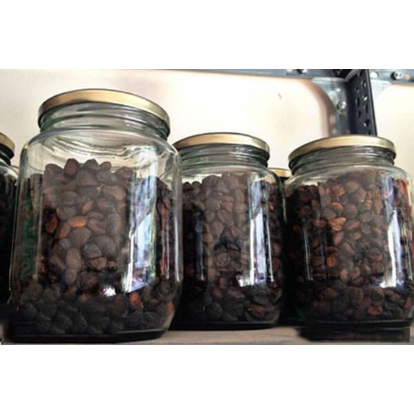 [GIÁ SỈ ] Hạt dổi nếp rừng tây bắc loại 1 cực thơm ngon | BigBuy360 - bigbuy360.vn