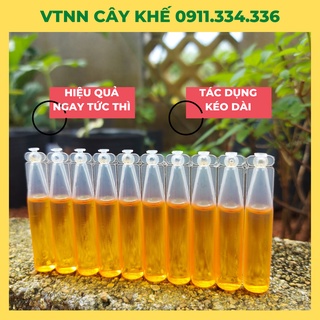 Thuốc Diệt Ruồi Vàng Loại Thuốc Ruồi Vàng Dùng Cho Bẫy Ruồi Vàng