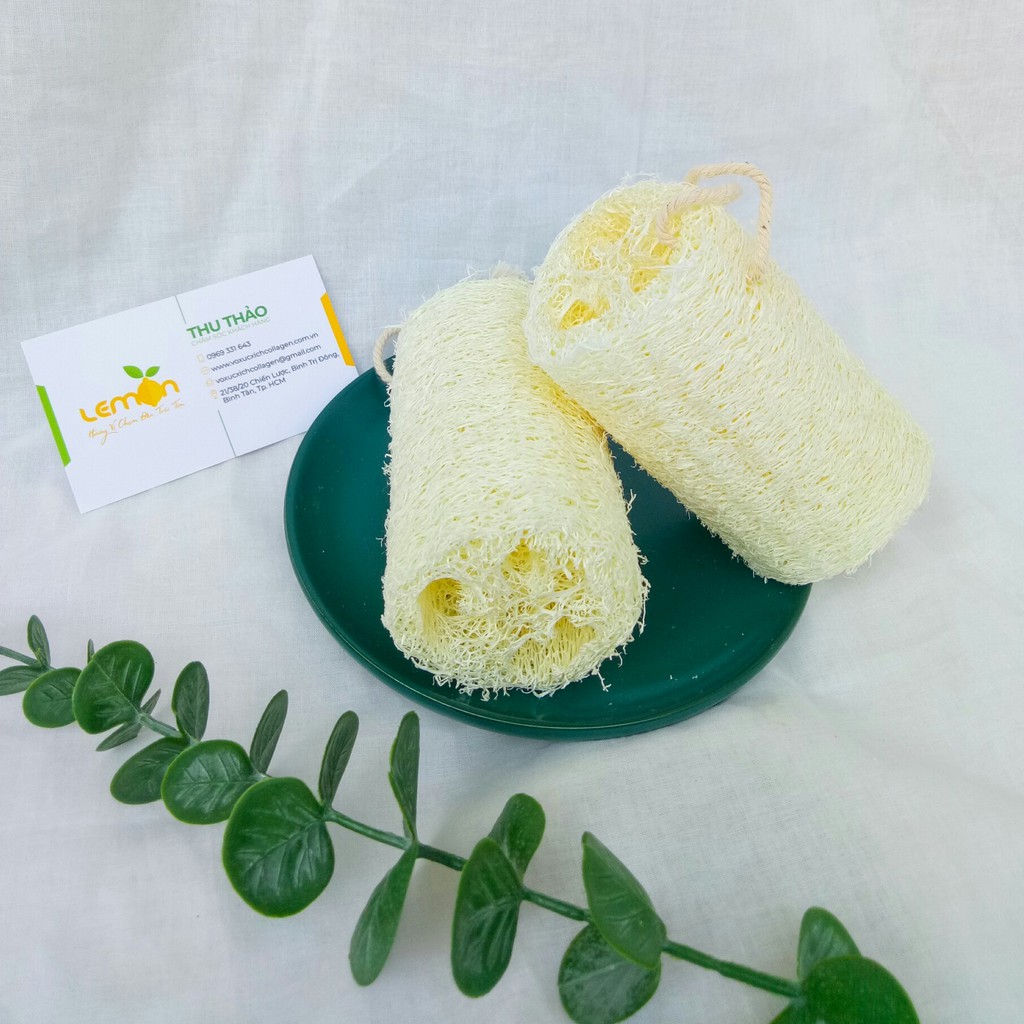 COMBO Khúc xơ mướp tròn cọ nồi, rửa chén, ly, tạo bọt tốt, làm sạch nhanh, dùng bền