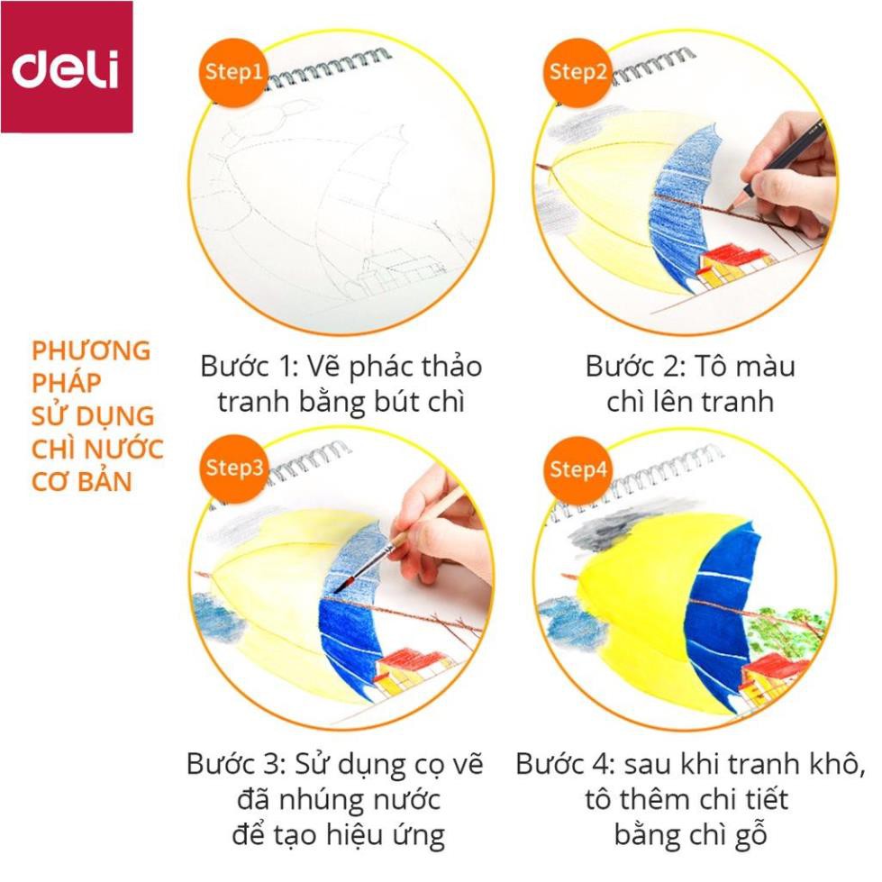 Bút chì màu cao cấp Deli dạng cốc - 24 màu/36 màu/72 màu - 68100/68101/68114 [Deli]