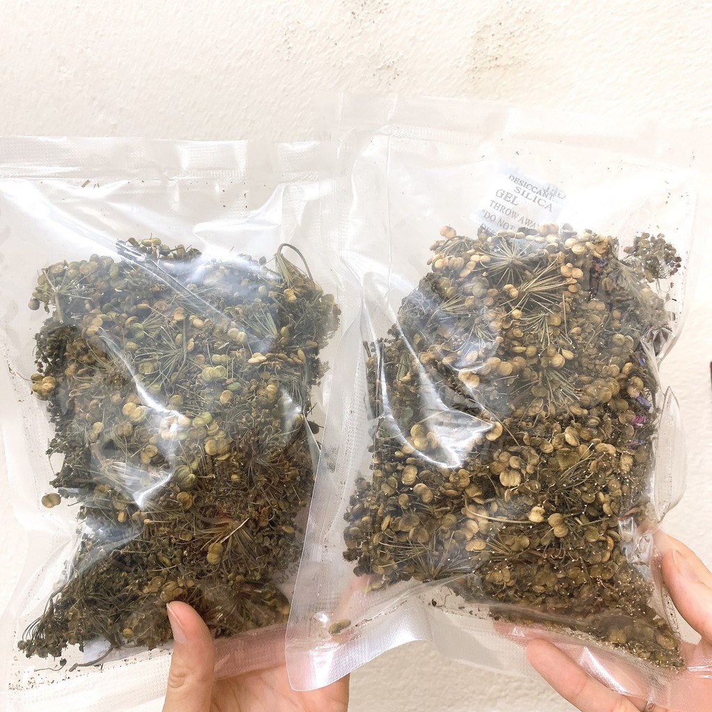 TRÀ HOA NHÂN SÂM HÀN QUỐC